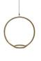 morepic-3
